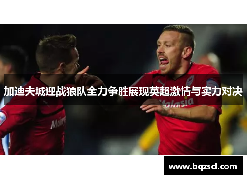 加迪夫城迎战狼队全力争胜展现英超激情与实力对决